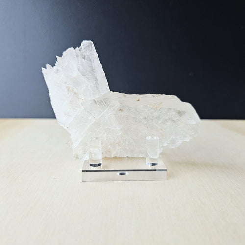Fishtail Selenite Specimen | The Crystal Sea Corridor