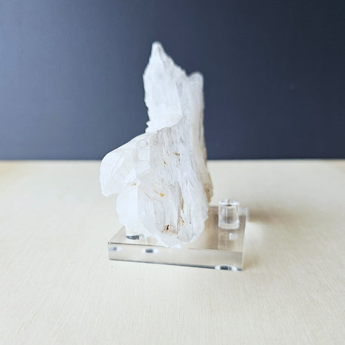 Fishtail Selenite Specimen | The Crystal Sea Corridor