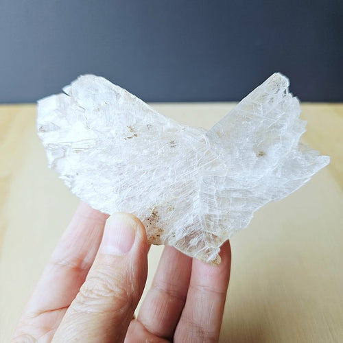 Fishtail Selenite Specimen | The Crystal Sea Corridor