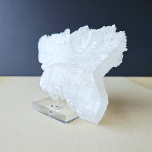 Fishtail Selenite Specimen | The Great Calm