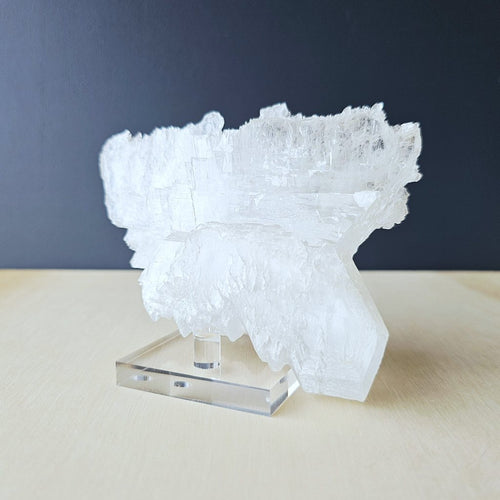 Fishtail Selenite Specimen | The Great Calm