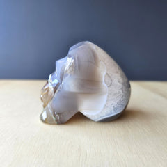 Flower Agate Skull | Petal Fire Skull