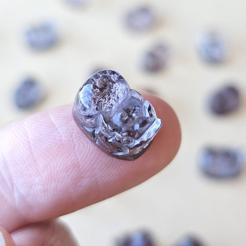 Garden Quartz Pixiu | Traveller Companions