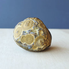 Gobi Desert Agate Large | Ancient Eyes