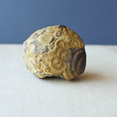 Gobi Desert Agate Large | Ancient Eyes