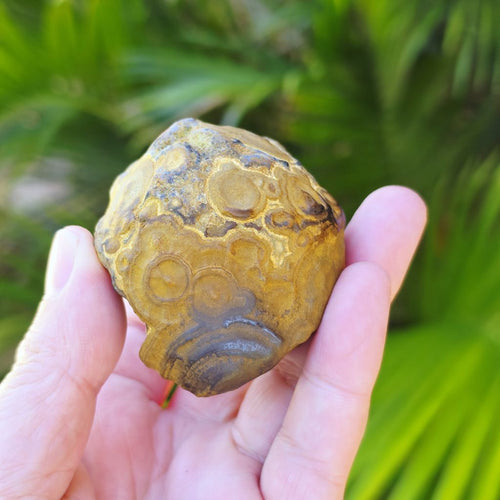 Gobi Desert Agate Large | Ancient Eyes