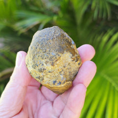 Gobi Desert Agate Large | Ancient Eyes
