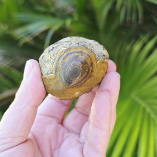 Gobi Desert Agate Large | Ancient Eyes