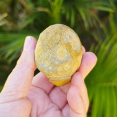 Gobi Desert Agate Large | Desert Eyes