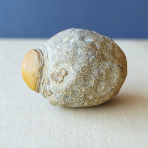 Gobi Desert Agate Large | Desert Eyes