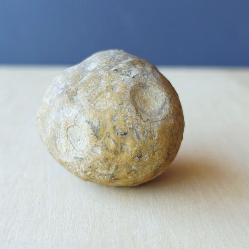 Gobi Desert Agate Large | Desert Eyes