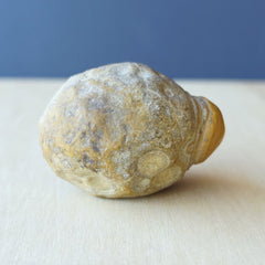 Gobi Desert Agate Large | Desert Eyes