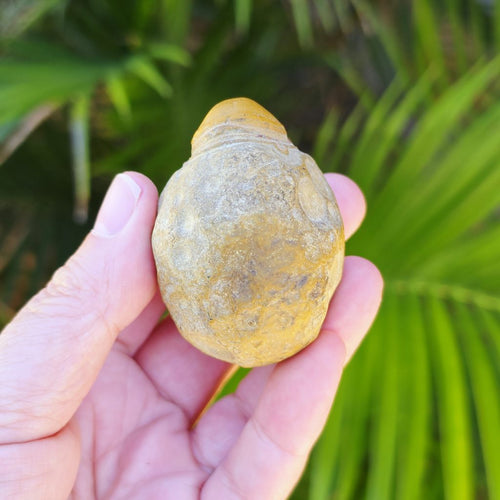 Gobi Desert Agate Large | Desert Eyes