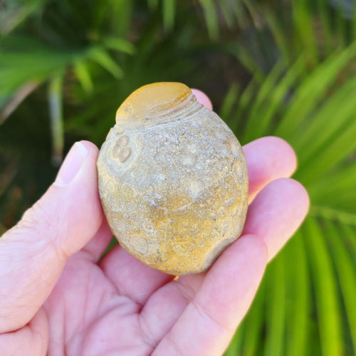 Gobi Desert Agate Large | Desert Eyes