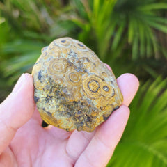 Gobi Desert Agate Large | Many Faces