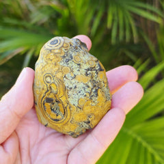 Gobi Desert Agate Large | Many Faces