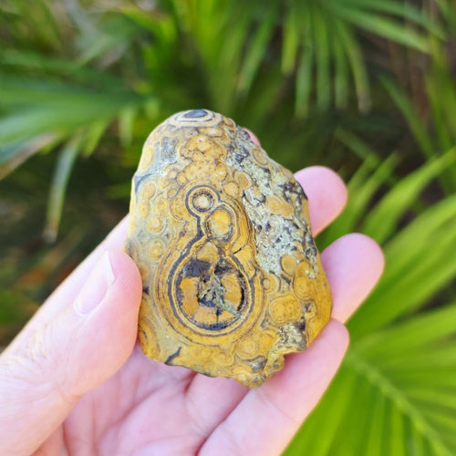 Gobi Desert Agate Large | Many Faces