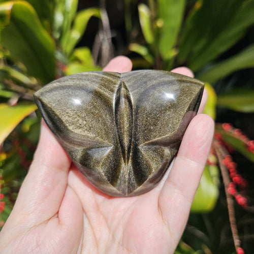 Gold Sheen Obsidian Butterfly | Wings Of The Eclipse