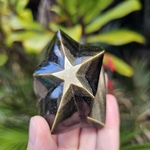Gold Sheen Obsidian Star | Eclipse Star