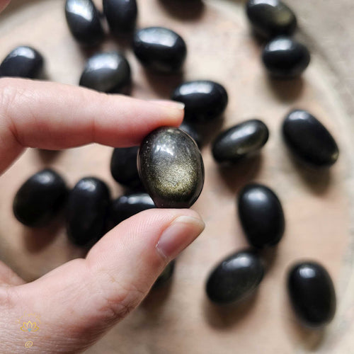 Gold Sheen Obsidian | Tumbled Stones