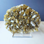 Golden Barite Specimen | Tabular Fields Of Gold