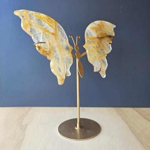 Golden Healer Butterfly Wings | Expanded Transformation