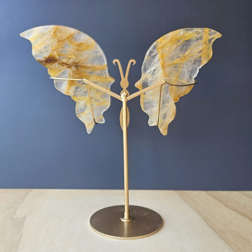 Golden Healer Butterfly Wings | Expanded Transformation