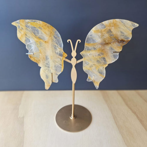 Golden Healer Butterfly Wings | Expanded Transformation