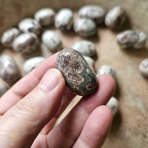 Green Cherry Jasper Tumbled Stones