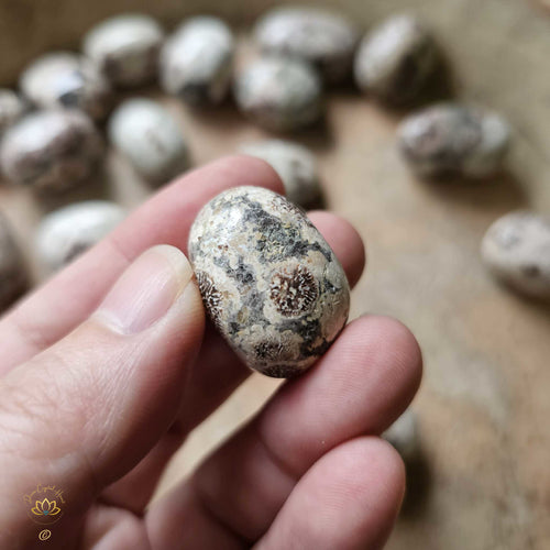 Green Cherry Jasper Tumbled Stones