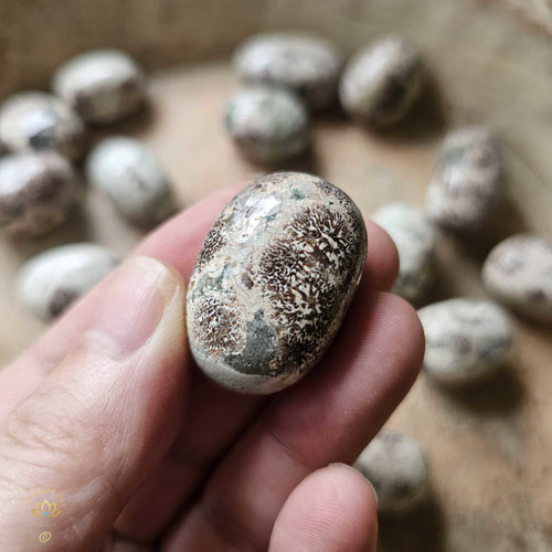Green Cherry Jasper Tumbled Stones