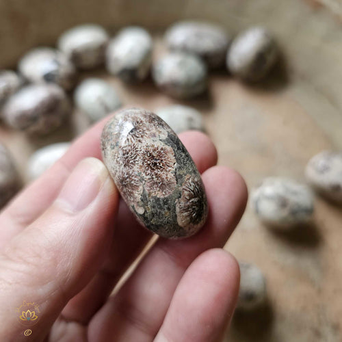 Green Cherry Jasper Tumbled Stones
