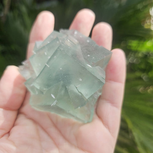Green Cubed Fluorite Collector Specimen | Zhejiang China 191gms
