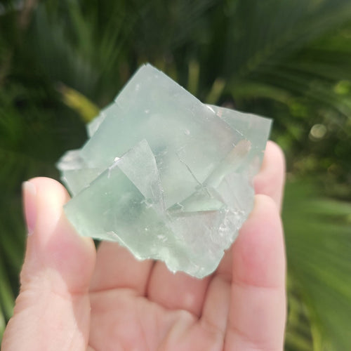 Green Cubed Fluorite Collector Specimen | Zhejiang China 191gms
