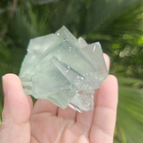 Green Cubed Fluorite Collector Specimen | Zhejiang China 191gms
