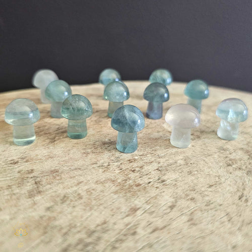 Green Fluorite Mini Mushrooms