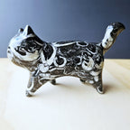 Guangxi Fossil Cat | Ancient Sea Companion