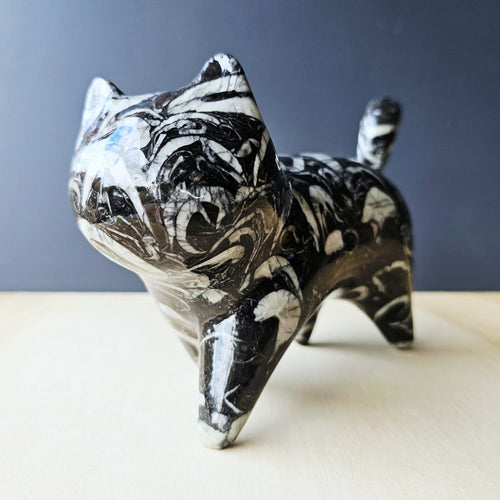 Guangxi Fossil Cat | Guardian Of Time
