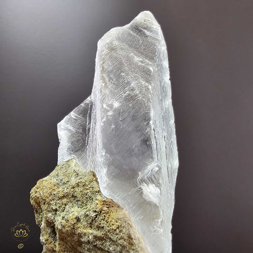 Gypsum (Selenite) On Matrix | Specimen 2.22kgs