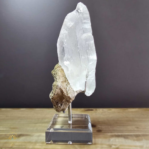Gypsum (Selenite) On Matrix | Specimen 2.22kgs