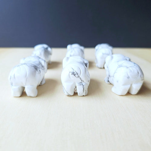 Howlite Pig | The Peaceful Prosperity Pig