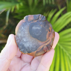 Hubei Agate Money Toad Carving | Hubei Prosperity