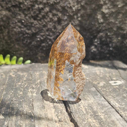 Inclusion Quartz Faceted Freeform | The Untamed Aspect