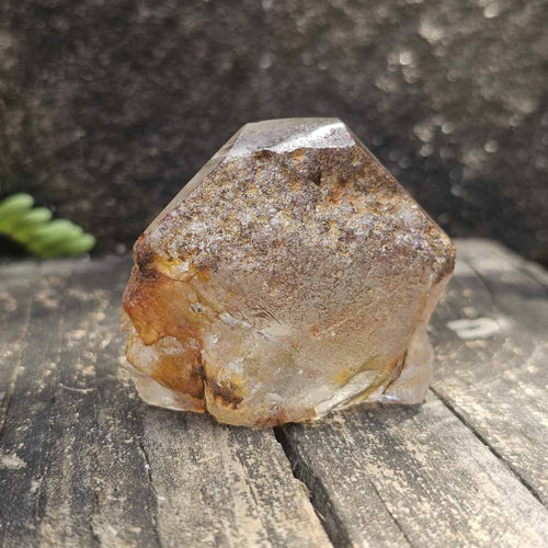 Inclusion Quartz Faceted Freeform | The Untamed Facet