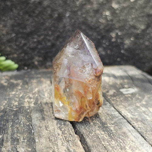 Inclusion Quartz Faceted Freeform | The Untamed Facet