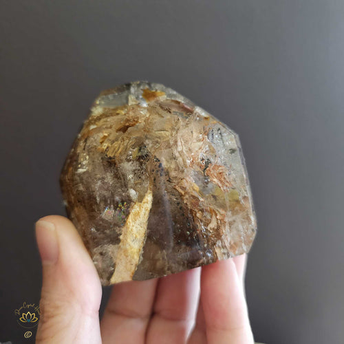 Inclusion Quartz | Generator 276gms