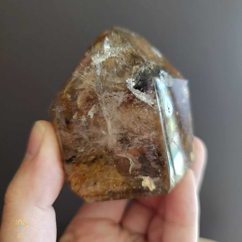 Inclusion Quartz | Generator 276gms