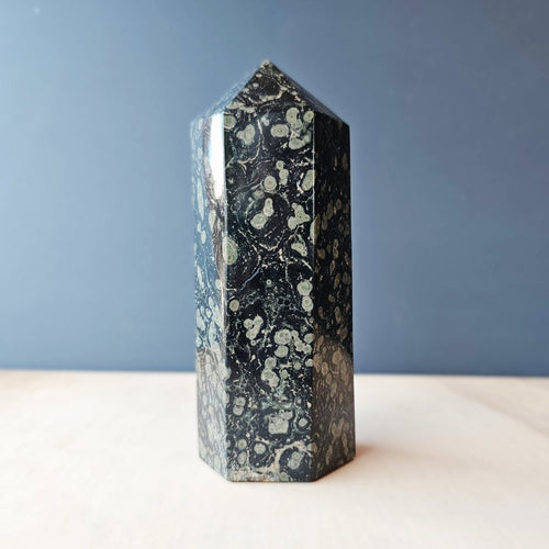 Kambaba Jasper Generator | 710gms