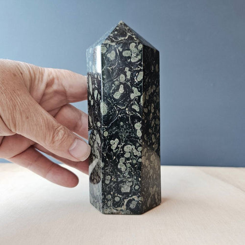 Kambaba Jasper Generator | 710gms
