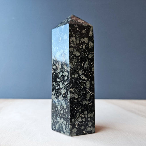 Kambaba Jasper Generator | 710gms